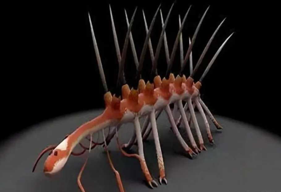 The Bizarre Hallucigenia: Once Earth’s Most Abundant Animal