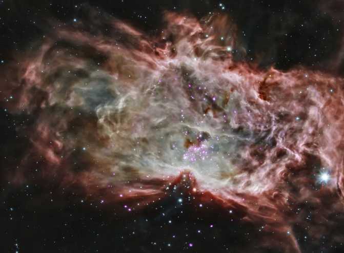 The Flame Nebula: Two Cosmic Identities for a Fiery Stellar Nursery