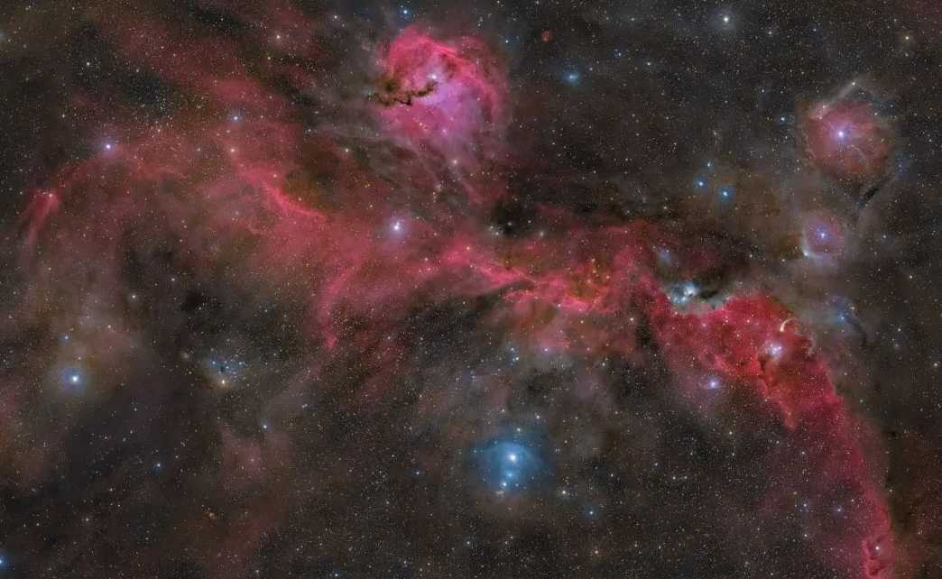 The Seagull Nebula: A Cosmic Avian Marvel in Canis Major